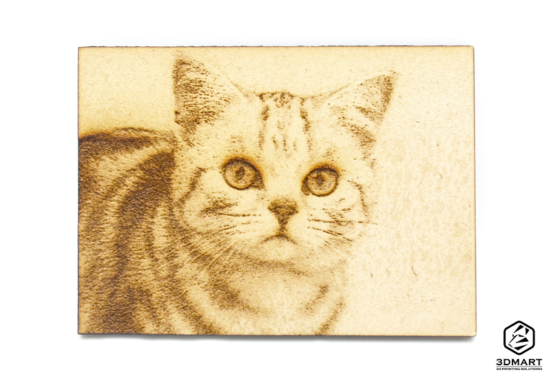FLUX_Beamo_cat